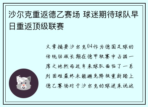 沙尔克重返德乙赛场 球迷期待球队早日重返顶级联赛